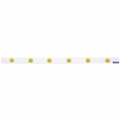 Banda magnetica 6 magneti Smiley 1000mm MGN