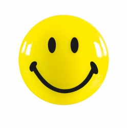 Magneti MAGNETOPLAN SMILIES, Ã˜ 20 mm, 8 buc/ set