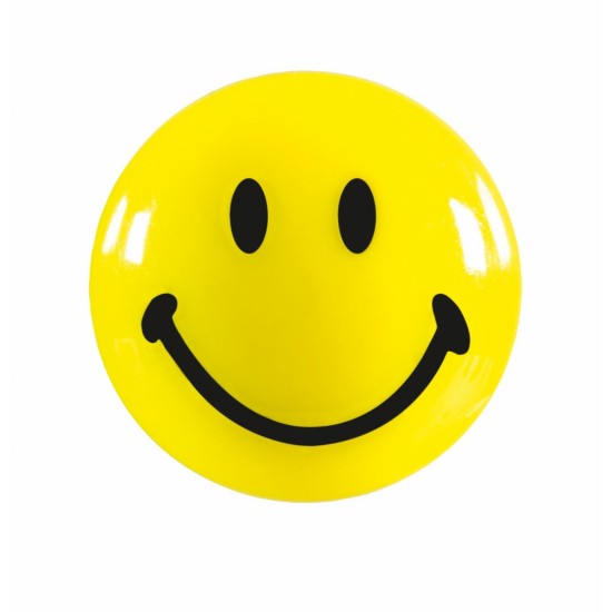 Magneti MAGNETOPLAN SMILIES, Ã˜ 20 mm, 8 buc/ set