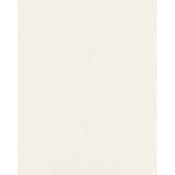Hartie chinezeasca Ivory, 265 x 330 mm - set 25 coli