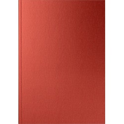 Caiet A5 Colormat-X Orange
