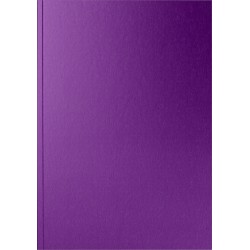 Caiet A5 Colormat-X Violet