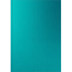 Caiet A5 Colormat-X Turquoise