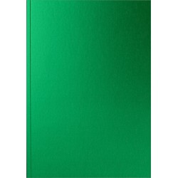 Caiet A5 Colormat-X Green