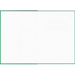 Caiet A5 Colormat-X Green
