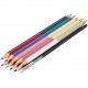 Set 12 Creioane Bicolore Acuarelabile + Pensula Bicolor SE Paul Smith