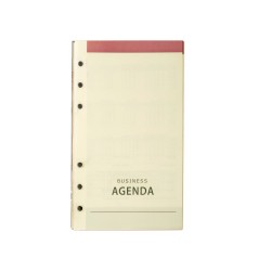 Rezerva organizer B6