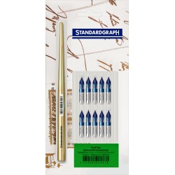 Set profi penite ornamente