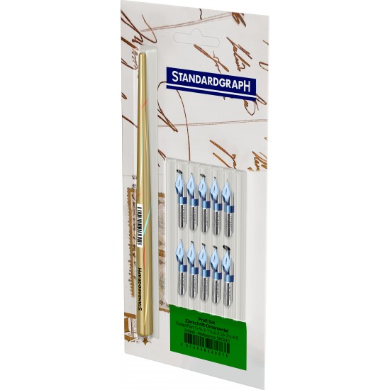 Set profi penite ornamente