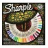 SET 30 MARKERE PERMANENT ASORTATE COMBO LIZARD / MIX COLOR