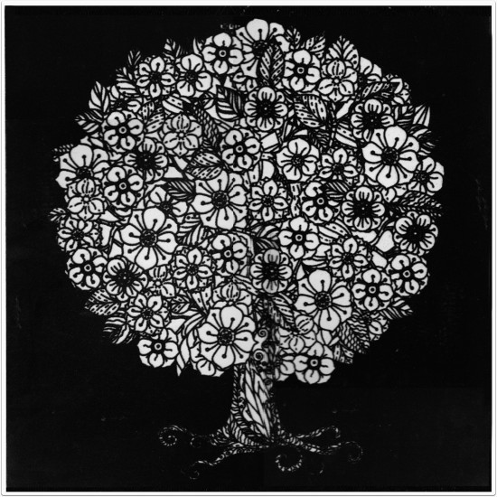 Plansa catifea 40x40 cm - Colectia Botanica