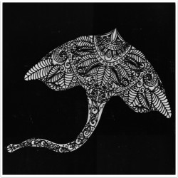 Plansa catifea 40x40 cm - Colectia Marin