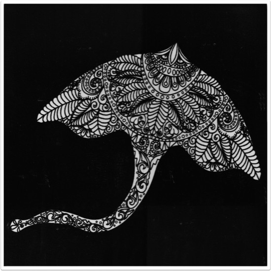 Plansa catifea 40x40 cm - Colectia Marin