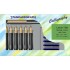 Set caligrafie stilou+penite 0.85/1.1/1.35/1.6/2.2/2.8