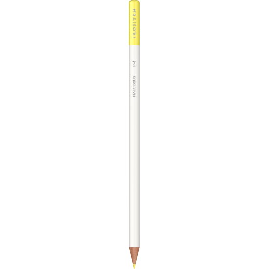 Creion Colorat Narcissus - P4