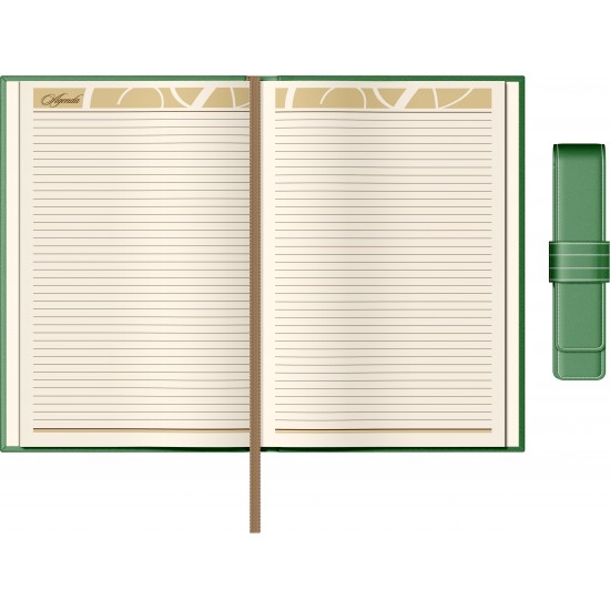 Set Agenda Piele B5 + Pouch Pen - Green