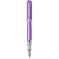 Rodeo Drive Iridescent Purple CT Stilou
