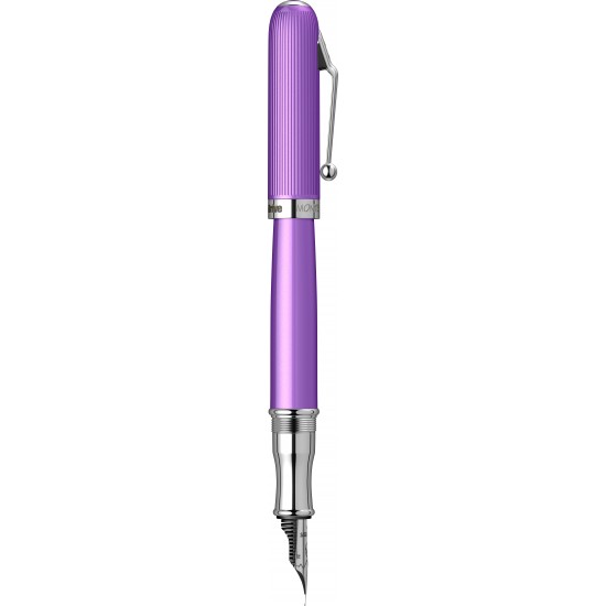 Rodeo Drive Iridescent Purple CT Stilou