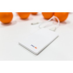 Power Bank - Baterie Externa cu logo ING