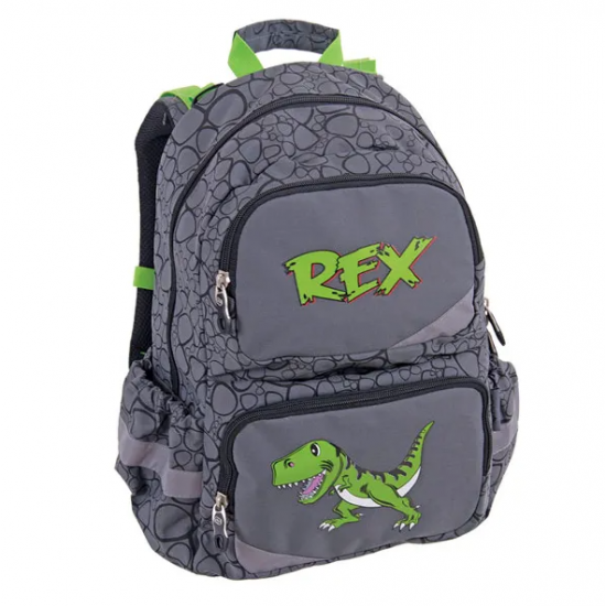 Rucsac Rex din colecția Anatomic Pulse